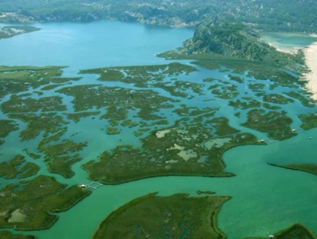 Dalyan Iztuzu Strand