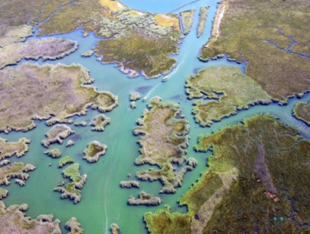 Boat Tours On Köyceğiz Lake